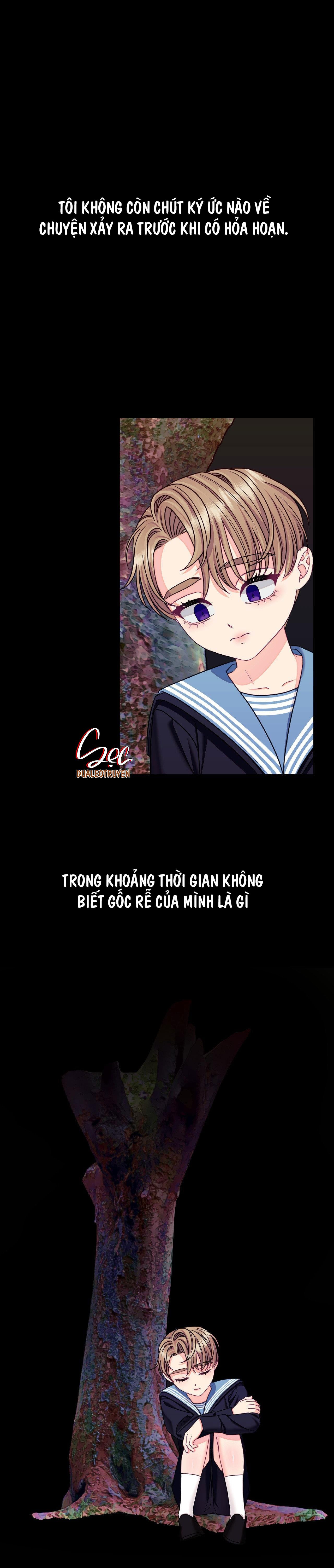  - Trang 