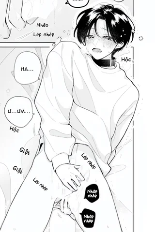 Bó Hoa Dành Dành Và Sắc Xanh Mong Manh