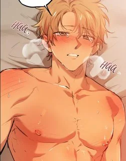 NHỮNG CHÚ THỎ CỦA HAPYPY